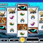 siberian storm free slot